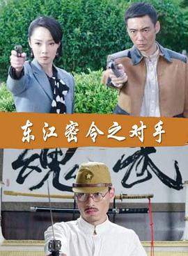 日韩免费高清播放器